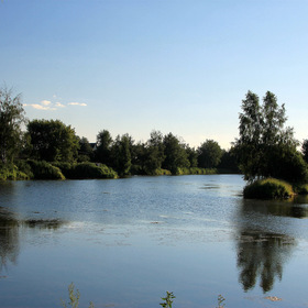 Город