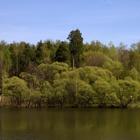 Пехорка