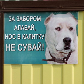 Прикол