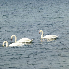Природа. Балтийское море.