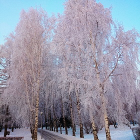 Фотографии природы