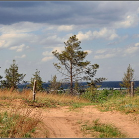 У развилки...
