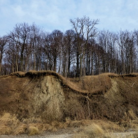 Природа. Балтийский берег.