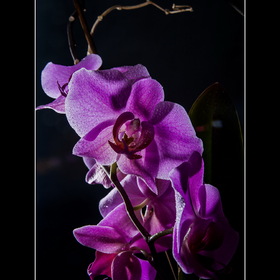 природа