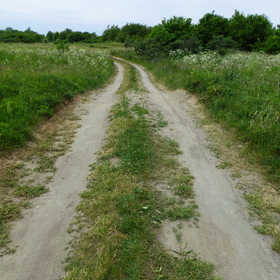 Photo Nature. Балтийский берег.