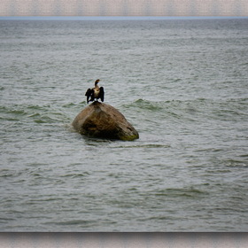 природа, фотосъемка. Балтийское море.