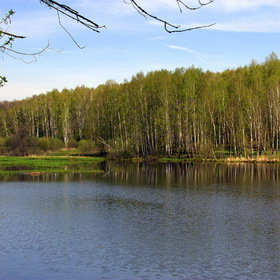 Пехорка
