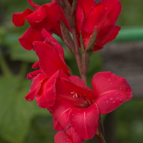 Случайные фотографии. Фотографии природы