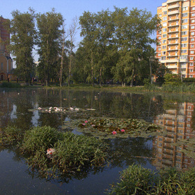 Кучино