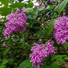 Лучшие фото. ПРИРОДА (0)