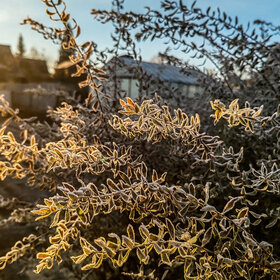 Лучшие фото. ПРИРОДА (0)