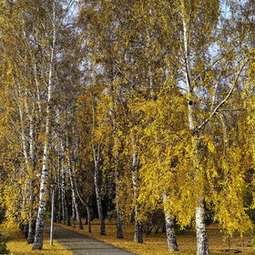 Лучшие фото. ПРИРОДА (0)