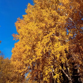 Лучшие фото. Природа (0)